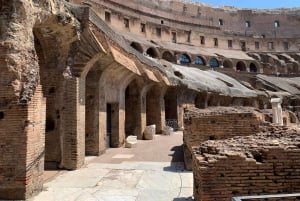 Roma: Visita guiada ao Coliseu, Fórum Romano e Palatino