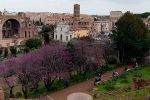 Roma: Visita guiada ao Coliseu, Fórum Romano e Palatino