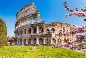 Rom: Colosseum, Forum Romanum og Palatinerhøjen + Audioguide