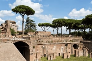 Rom: Colosseum, Forum Romanum og Palatinerhøjen - guidet tur