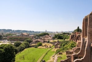Rom: Colosseum, Forum Romanum og Palatinerhøjen - guidet tur