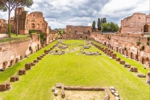 Rom: Colosseum, Forum Romanum og Palatinerhøjen - guidet tur