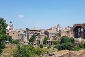 Rome : visite guidée du Colisée, du Forum romain et du mont Palatin
