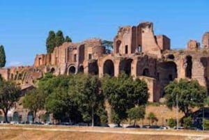 Rome : Colisée, forum romain et colline palatine visite privée