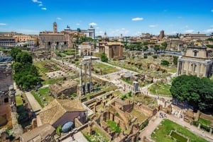 Rome : Colisée, forum romain et colline palatine visite privée