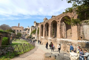 Rome: Colosseum, Roman Forum & Palatine Hill Tour