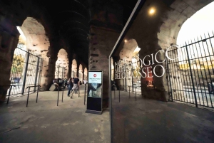 Rome: Colosseum, Roman Forum & Palatine Hill Tour