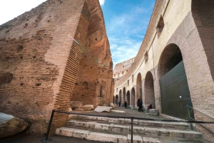 Rome: Colosseum, Roman Forum & Palatine Hill Tour