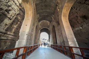 Rome: Colosseum, Roman Forum & Palatine Hill Tour