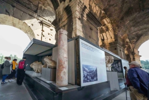 Rome: Colosseum, Roman Forum & Palatine Hill Tour