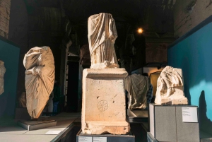 Rome: Colosseum, Roman Forum & Palatine Hill Tour