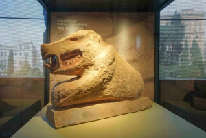 Rome: Colosseum, Roman Forum & Palatine Hill Tour