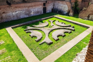 Roma: Tour del Colosseo, del Foro Romano e del Palatino