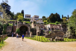 Roma: Tour del Colosseo, del Foro Romano e del Palatino