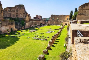 Roma: Tour del Colosseo, del Foro Romano e del Palatino