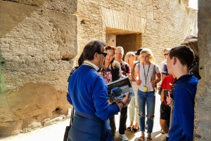 Roma: Tour del Colosseo, del Foro Romano e del Palatino