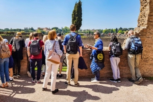 Roma: Tour del Colosseo, del Foro Romano e del Palatino