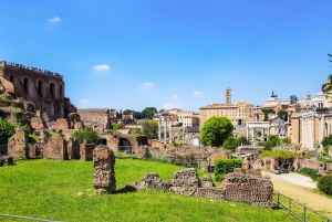 Roma: Tour del Colosseo, del Foro Romano e del Palatino