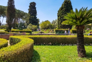Roma: Tour del Colosseo, del Foro Romano e del Palatino