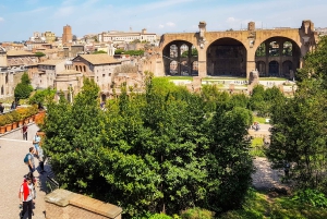 Roma: Tour del Colosseo, del Foro Romano e del Palatino