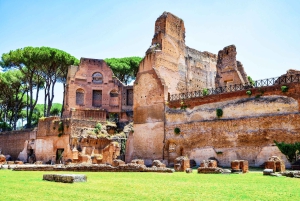 Roma: Tour del Colosseo, del Foro Romano e del Palatino