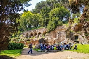 Roma: Tour del Colosseo, del Foro Romano e del Palatino
