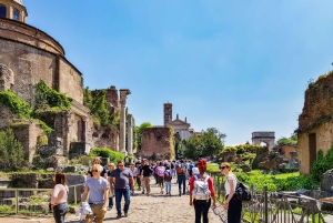 Roma: Tour del Colosseo, del Foro Romano e del Palatino