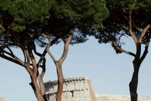 Rome : visite privée du Colisée, du Forum romain et du Palatin