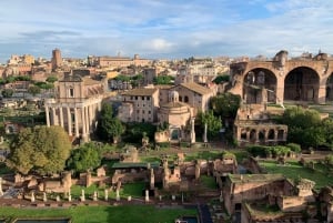 Roma: Visita guiada ao Coliseu, Fórum Romano e Palatino