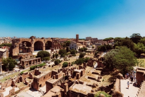 Tilgang til Colosseum og det antikke Roma med valgfri oppgradering av arenaen