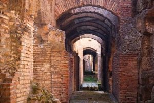 Rome: Colosseum, Roman Forum, & Palatine, w/ Group Entrance