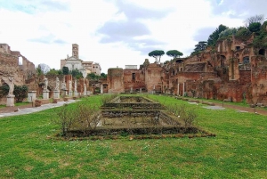 Rome: Colosseum, Roman Forum, & Palatine, w/ Group Entrance