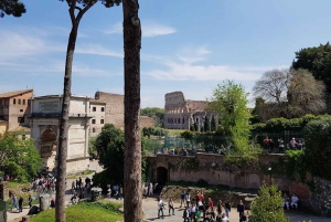 Rome: Colosseum, Roman Forum, & Palatine, w/ Group Entrance