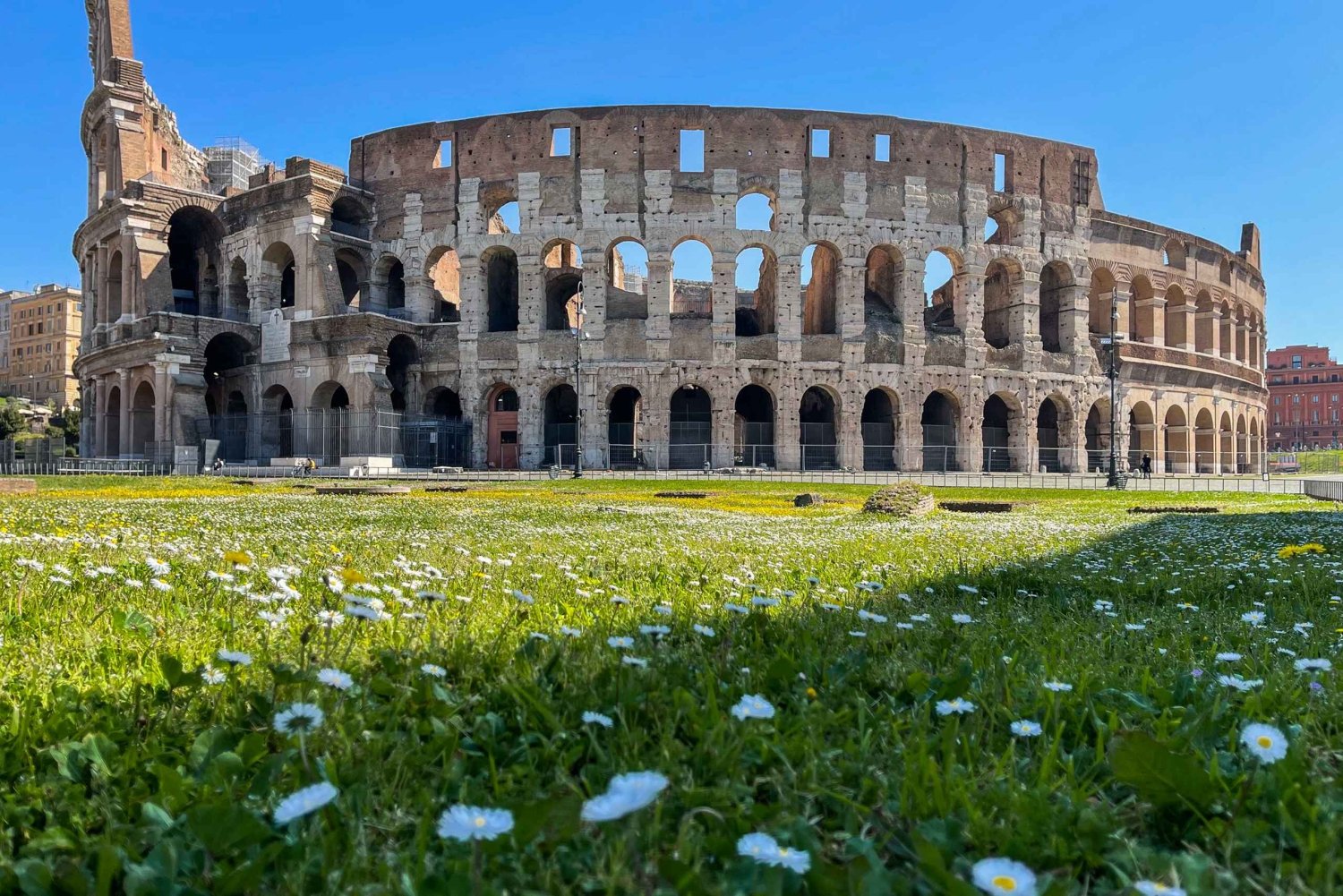 ローマ：コロッセオ見学ツアー（剣闘士闘技場入場付き）