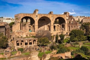 Rome : Visite du Colisée, du Forum romain et de la colline du Palatin