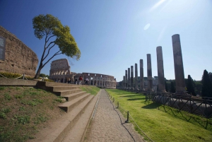 Rome: Colosseum Tour with Fast Access