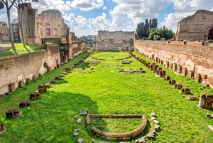 Rome: Colosseum Underground, Arena & Forum Tour