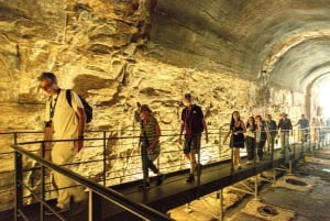 Roma: esperienza nei sotterranei del Colosseo, con il Foro Romano