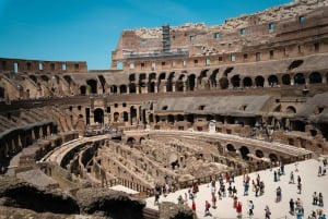 Rom: Colosseum Underground max 6 personer