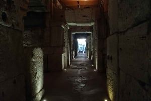 Rome: Colosseum, Underground & Roman Forum Private Tour