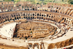 Rom: Colosseum Underground Lille gruppe guidet tur