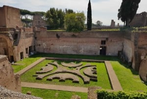 Rom: Bevorzugter Zugang Kolosseum, Forum Romanum & Palatina Tour