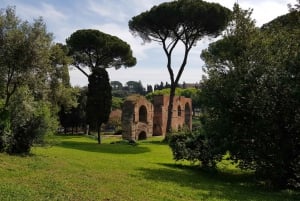 Rom: Bevorzugter Zugang Kolosseum, Forum Romanum & Palatina Tour