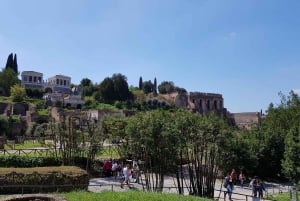 Rom: Bevorzugter Zugang Kolosseum, Forum Romanum & Palatina Tour