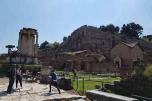 Rom: Bevorzugter Zugang Kolosseum, Forum Romanum & Palatina Tour