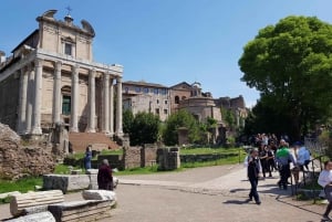 Rom: Bevorzugter Zugang Kolosseum, Forum Romanum & Palatina Tour