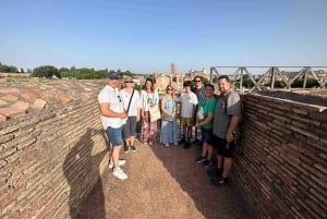 Roma: tour guidato VIP al piano superiore del Colosseo