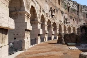 Roma: tour guidato VIP al piano superiore del Colosseo