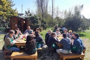 Rooma: Pizzan ja pastan kokkauskurssi viinin kera.