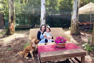 Rooma: Pizzan ja pastan kokkauskurssi viinin kera.